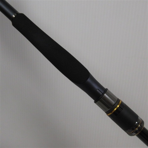 ２１ネッサＸＲＳ１００ＭＨ＋